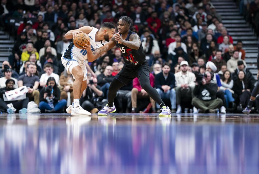 岁月的增长 岁月的增长